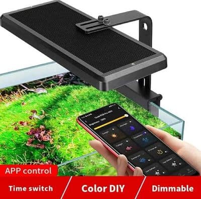 HYGER (HG028-MS)_img_1