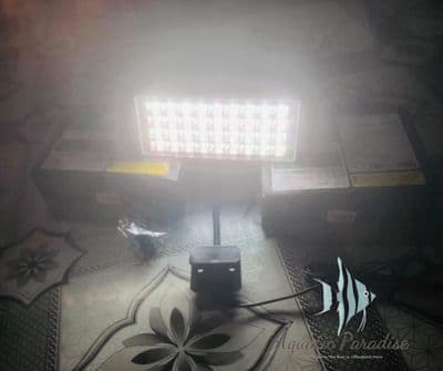 Neo Helios Pro+ 13W (Updated Version)_img_1