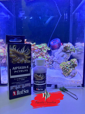 Red Sea Aiptasia-X – 60 mL_img_0