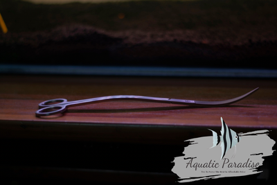 Aquascaping Wave Scissor_img_0