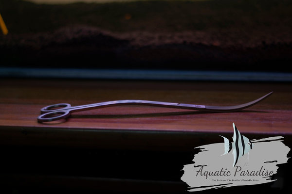 Aquascaping Wave Scissor